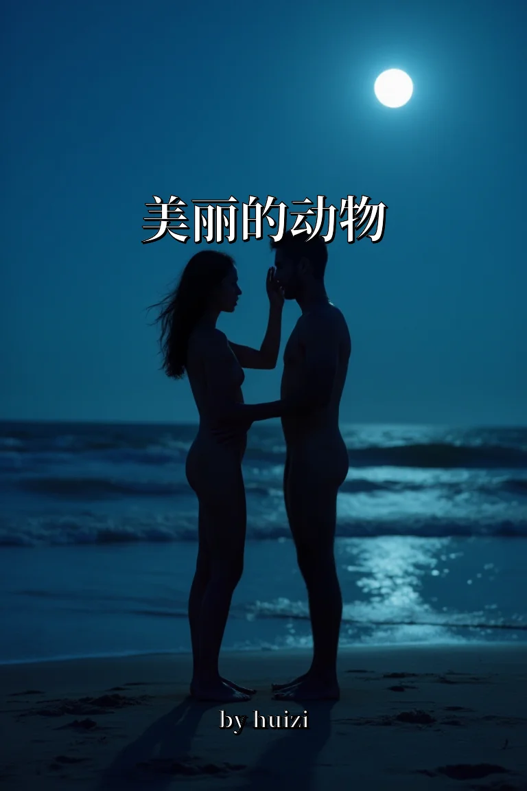 美丽的动物 封面