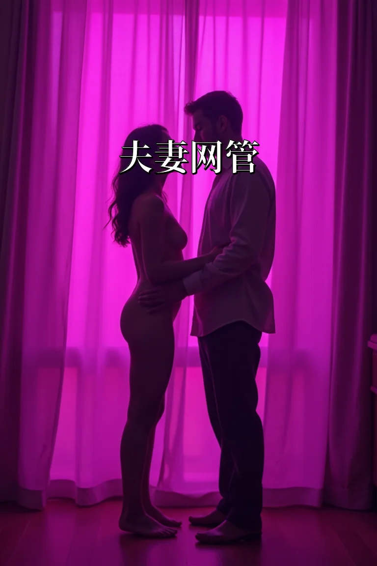夫妻网管 封面